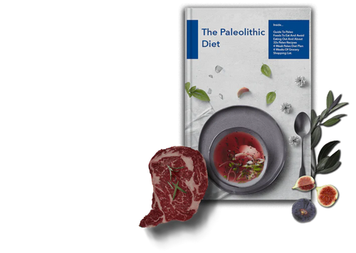 ‘stone age’ paleo diet guide store for sale